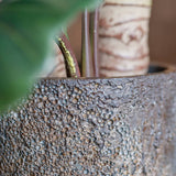 IMPERIAL OYSTER TALL PLANTER, Rust (M)