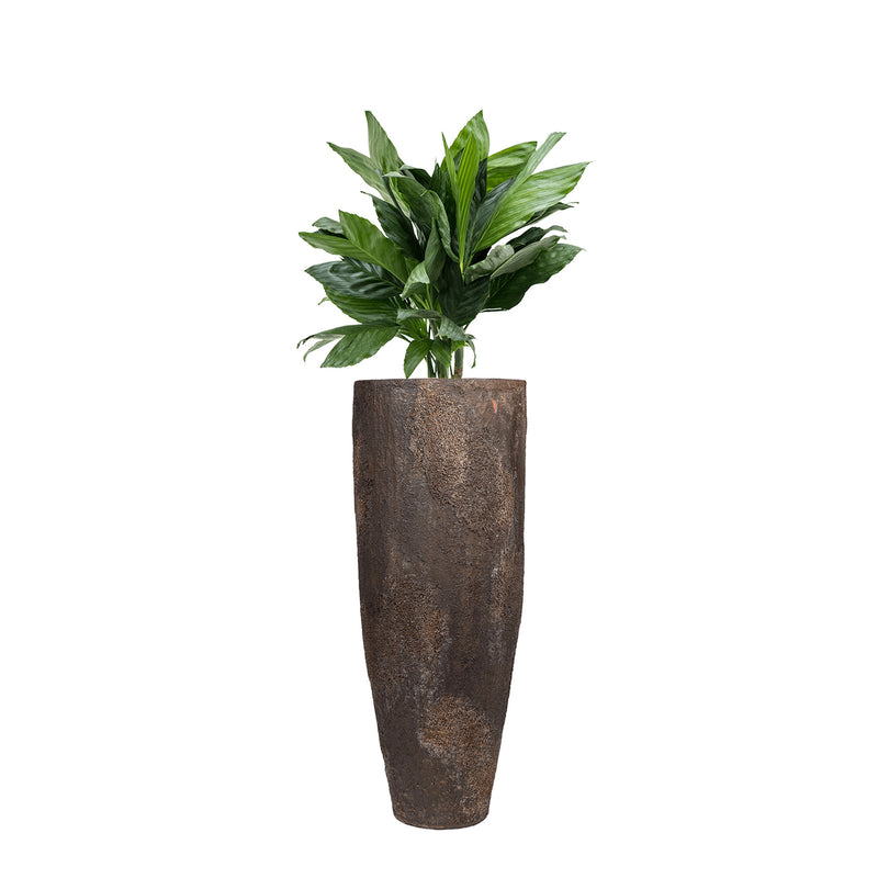 IMPERIAL OYSTER TALL PLANTER, Rust (M)