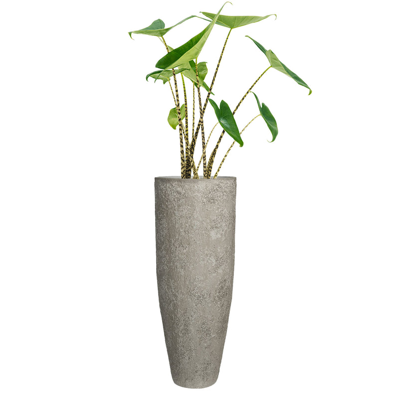 IMPERIAL OYSTER TALL PLANTER, Grey (M)